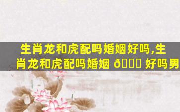 生肖龙和虎配吗婚姻好吗,生肖龙和虎配吗婚姻 🍁 好吗男